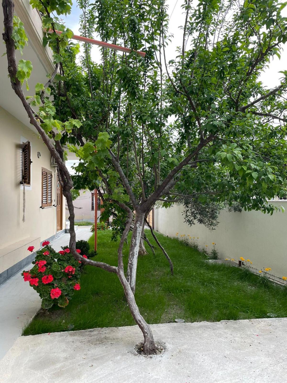 Blossom Apartments Vlorë Extérieur photo