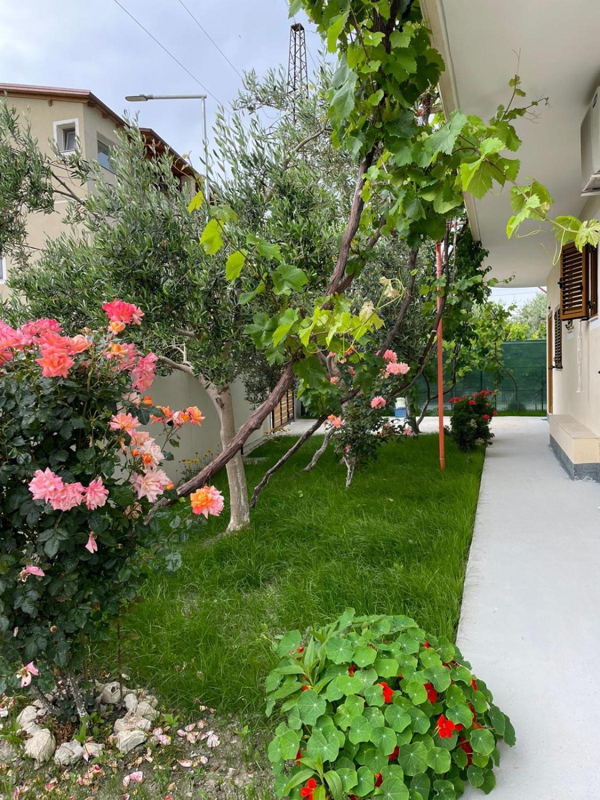 Blossom Apartments Vlorë Extérieur photo